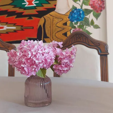 Jusra's , City Center Shkodër